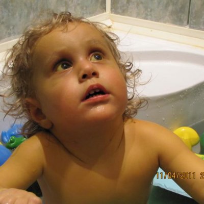 dominik2