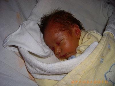 domis